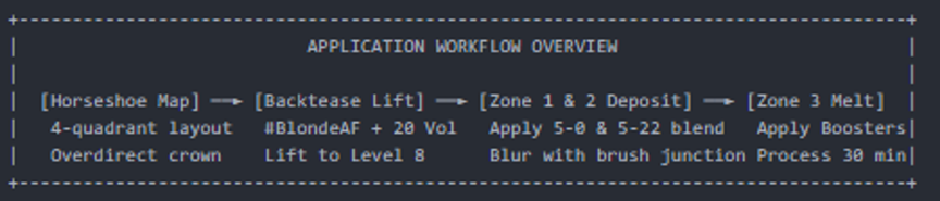 Application workflow overview