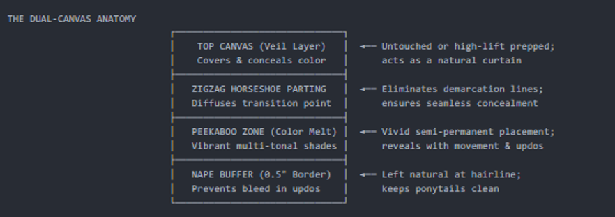 Dual-Canvas Anatomy